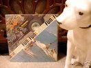 Surf LP-The Catalinas- Fun-Bruce Johnston,Steve Douglas