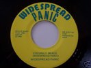 Widespread Panic 7