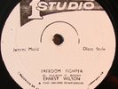 ERNEST WILSON Freedom Fighter STUDIO 1 12