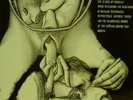 NWW WHITEHOUSE LP 150 MURDEROUS UD09 NURSE WITH WOUND