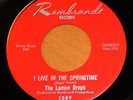 1967 Garage 45 LEMON DROPS Live In Springtime REMBRANDT