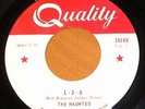 1960s Canadian Garage 45 - THE HAUNTED 1-2-5  QUALITY