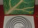 CATAPILLA Changes LP 1972 VERTIGO 1st Press AWESOME