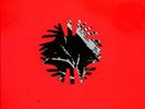ANIMAL COLLECTIVE Hollinndagain LP panda bear rarest