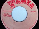 BLANK CEDRIC IM BROOKS 45 SOUTH AFRICAN REGGAE, RARE