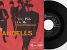 Standells-