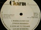 WARM & SUNNY DAY - DIGITAL ROOTS CUT Junior Brammer 12
