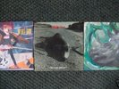 Pearl Jam 7