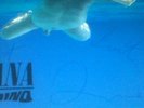 Signed All inc Kurt Cobain - NIRVANA NEVERMIND VINYL LP
