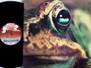 TOAD - Same - rare swiss progressive - 1971 Original