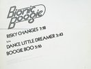 BIONIC BOOGIE Risky Changes RARE POLYDOR WL PROMO 12