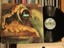 TOAD - SAME    