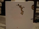 Coil - The Ape of Naples - Red Vinyl 4xLP Box Set