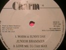JUNIOR BRAMMER, CRIMESTOPPA, LUCAN SCISSORS, MIXING LAB