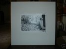 SUNN Whitebox White box 4xLP OOP Earth Boris ISIS