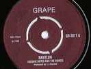Freddie Notes & The Rudies - Babylon - MINT *LISTEN*