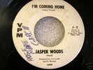 JASPER WOODS on VPM 