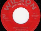 VELVET HAZE  Last Day On Earth  Rare VA Fuzz Punk/Psych