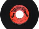 BIM MAN - TRIBULATION - SUN DEW