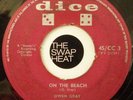 OWEN GRAY BUSTER'S GROUP -ON THE BEACH- 1963 7