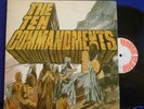 SALAMANDER THE TEN COMMANDMENTS  UK PROG ROCK