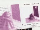 Mostly Autumn Last Bright Light Limited ed. SUPER RARE