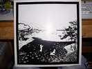 Diplo Florida 2xLP signed no'd hand-screened Ltd Ed.