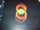 Pearl Jam Binaural Album Record Vinyl  Rare
