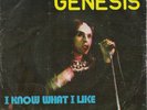 Genesis 7