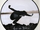 Eddie Vedder Into The Wild RARE PICTURE DISC PEARL JAM