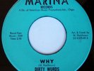 rare Garage Psych Rock 45 DIRTY WURDS why on MARINA