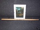 Deep Purple - Ian Paice ORIGINAL Drum Stick / Drumstick