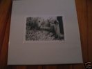 SUNN O))) WHITE BOX 4xLP 65/500 NR boris earth SEALED