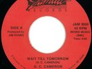 G.C. Cameron RARE Modern Soul 45 on Jamila