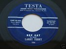 Rockabilly Holy Grail 45 Larry Terry on Testa HEP CAT