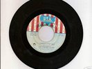 The CHERRY SLUSH I Cannot Stop You 60s GARAGE PSYCH 45