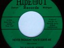 rare Garage Psych Rock 45 PLEASURE SEEKERS on HIDE OUT