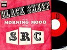 SRC Black Sheep 45 US 1968 HEAVY GARAGE PSYCH French PS