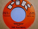 THE PLAYBOYS Shotgun/Jungle Fever Inst Rocker 45 LISTEN