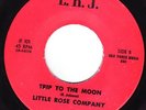 Rare Texas Funk 45-Little Rose Co.-Trip To..-LISTEN