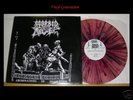 MORBID ANGEL 