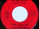 rare Soul 45 DYNAMIC WALTER-B & NEW BREED Listen