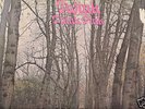 psych THINK  PINK debut album TWINK fairies 1970 orig