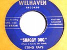 STING RAYS : SHAGGY DOG  1967 MN. Garage 45 LISTEN