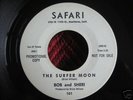 BOB AND SHERI THE SURFER MOON BEACH BOYS RARE 45
