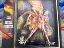 COIL - Astral Disaster - RED VINYL LTD ED - Very Scarce