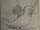 Private Femme Folk Psych LP TAKE FLIGHT Unknown HEAR