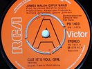 rare Modern Soul 45 JAMES WALSH GYPSY BAND, uk demo
