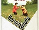 Cat Stevens - Harold and Maude (LP+7