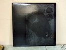 Alvarius B - Double LP VG++ Sun City Girls